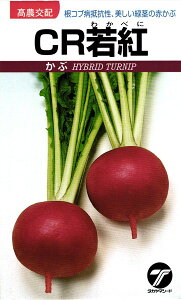 赤 カブ 種の人気商品 通販 価格比較 価格 Com