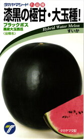 黒皮スイカ 種 『ブラックボス』 タカヤマシード/小袋（10粒）
