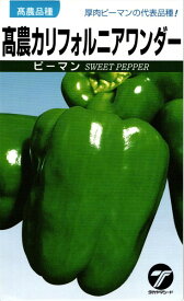 肉厚ピーマン 種 『高農カリフォルニアワンダー』 小袋（1.5ml） タカヤマシード