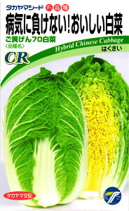 cnNTC  wCR70x ^J}V[h