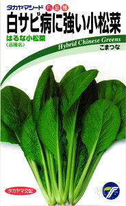 R}ci  w͂ȏ؁x ^J}V[h