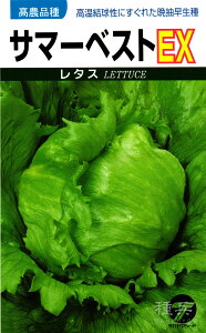 ^X  wT}[xXgEXx ^J}V[h