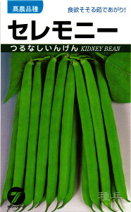 ȂCQ  wZj[x ^J}V[h