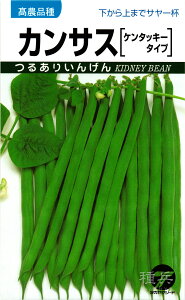 邠CQ  wJTXx ^J}V[h