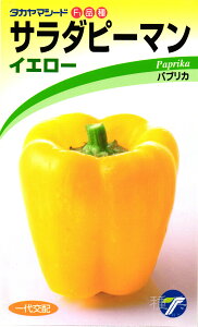 pvJ  wT_s[}iCG[jx ^J}V[h