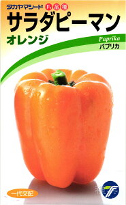 pvJ  wT_s[}iIWjx ^J}V[h