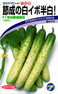 LE  wF1ߐӉZx ^J}V[h