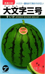 ʃXCJ  w啶Ox ^J}V[h