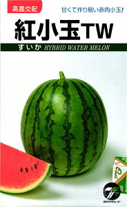 ʃXCJ  wgTWx ^J}V[h