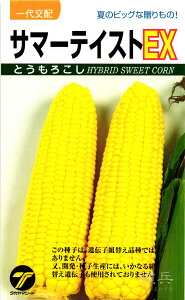 スイートコーン 種 『サマーテイストEX』 タカヤマシード