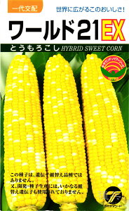 スイートコーン 種 『ワールド21EX』 タカヤマシード