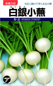 小カブ 種 『白銀小蕪』 タカヤマシード