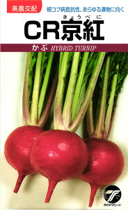 赤カブ 種 『CR京紅』 タカヤマシード