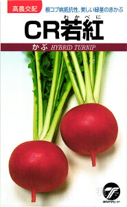 赤カブ 種 『CR若紅』 タカヤマシード