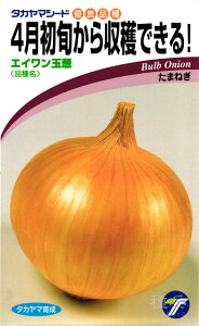 ^}lM  wGCʔKx ^J}V[h