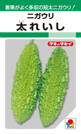 ゴーヤ 種 『太れいし』 AZU131 タキイ種苗/1dl