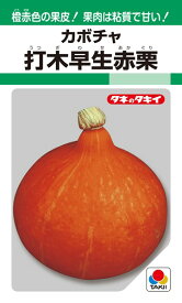 カボチャ 種 『打木早生赤栗』 ANK122 タキイ種苗/100粒