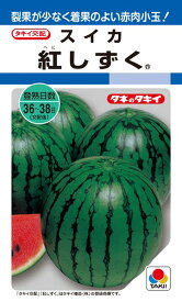 スイカ 種 『紅しずく』 ASU005 タキイ種苗/200粒