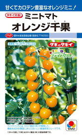 ミニトマト 種 『オレンジ千果』 ATM067 タキイ種苗/16粒(DF)