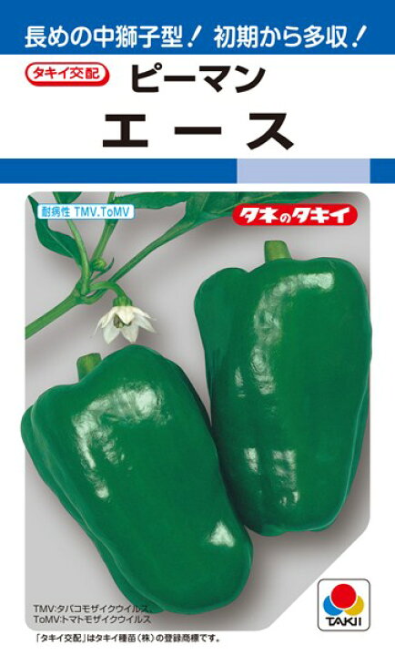 楽天市場 ピーマン 種 エース Ape001 タキイ種苗 1000粒 種兵ネットショッピング