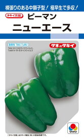 ピーマン 種 『ニューエース』 70粒(DF) タキイ種苗