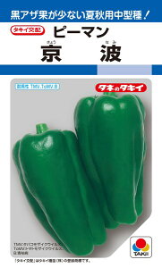 ピーマン 種 『京波』 APE011 タキイ種苗/1000粒