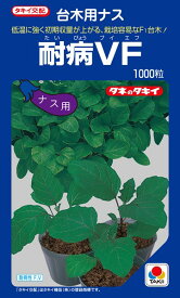 ナス台木 種 『耐病VF』 ANA031 タキイ種苗/1000粒