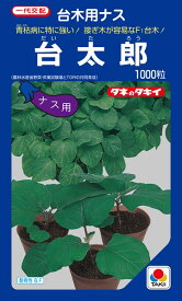 ナス台木 種 『台太郎』 ANA035 タキイ種苗/1000粒