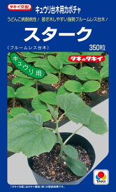 楽天市場 キュウリ 接ぎ木 苗の通販