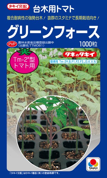 台木（トマト用） ボランチ ペレット種子1000粒(種子サイズ:2L) タキイ種苗 742sDv0DSw 