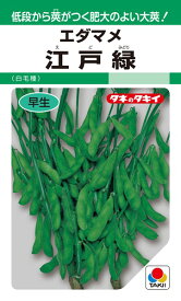 エダマメ 種 『江戸緑』 AED140 タキイ種苗/35ml(GF)