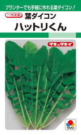 葉ダイコン 種 『ハットリくん』 ADA095 タキイ種苗/30ml(GF)