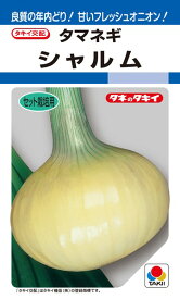 セット栽培用タマネギ 種 『シャルム』 ATA004 タキイ種苗/20ml