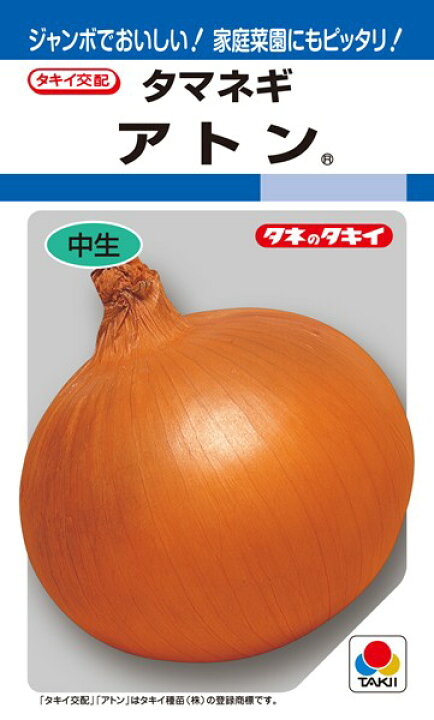 楽天市場 タマネギ 種 アトン Ata033 タキイ種苗 ml 種兵ネットショッピング