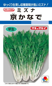 ミズナ 種 『京かなで』 ATU046 タキイ種苗/ペレットL5000粒