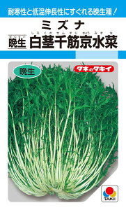 ミズナ 種の人気商品 通販 価格比較 価格 Com