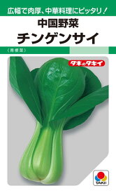 チンゲンサイ 種 『チンゲンサイ（青梗菜）』 ATU823 タキイ種苗/9ml(MF)