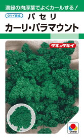 パセリ 種 『カーリ・パラマウント』 APA103 タキイ種苗/20ml