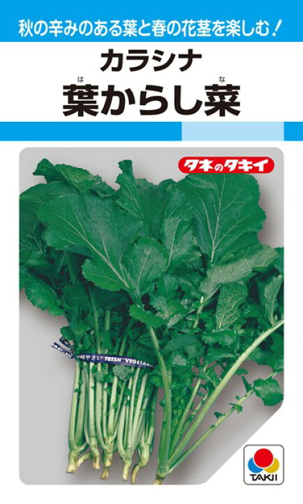 楽天市場 カラシナ 種 葉からし菜 Atk101 タキイ種苗 9ml Mf 種兵ネットショッピング