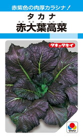 タカナ 種 『赤大葉高菜』 ATK103 タキイ種苗/3.5ml(MF)