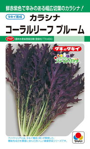 カラシナ 種の通販 価格比較 価格 Com
