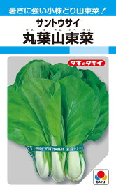 サントウサイ 種 『丸葉山東菜』 ATU303 タキイ種苗/7ml(MF)