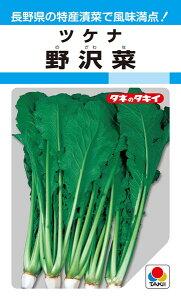 種 野沢菜 種の人気商品 通販 価格比較 価格 Com