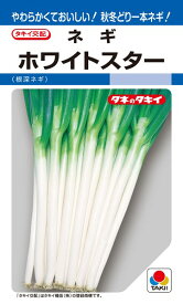 根深ネギ 種 『ホワイトスター』 ANE054 タキイ種苗/ペレット小袋200粒