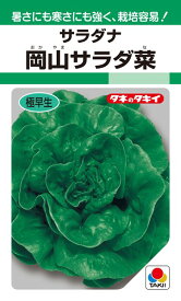 サラダナ 種 『岡山サラダ菜』 ALE101 タキイ種苗/1.4ml(GF)