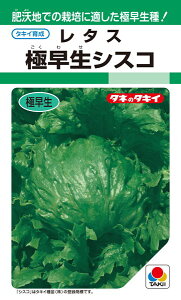 結球レタス 種 『極早生シスコ』 ALE125 タキイ種苗/ペレット小袋150粒
