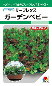 ベビーリーフレタス 種 『ガーデンベビー』 ALE504 タキイ種苗/20ml