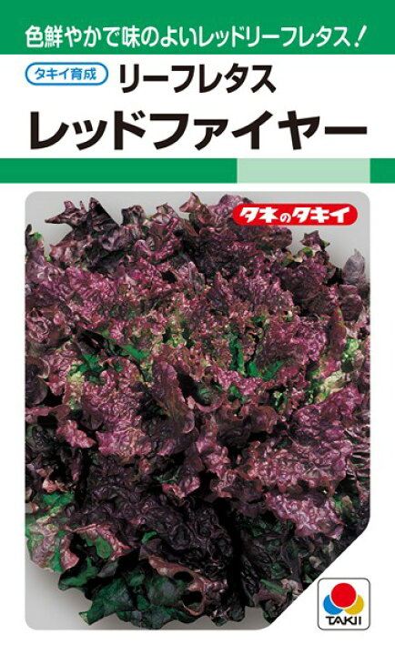 楽天市場 サニーレタス 種 レッドファイヤー Ale530 タキイ種苗 ml 種兵ネットショッピング