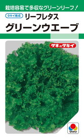リーフレタス 種 『グリーンウエーブ』 ALE539 タキイ種苗/ペレットL5000粒