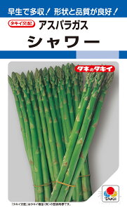 AXpKX  wV[x AAS004 ^LCc